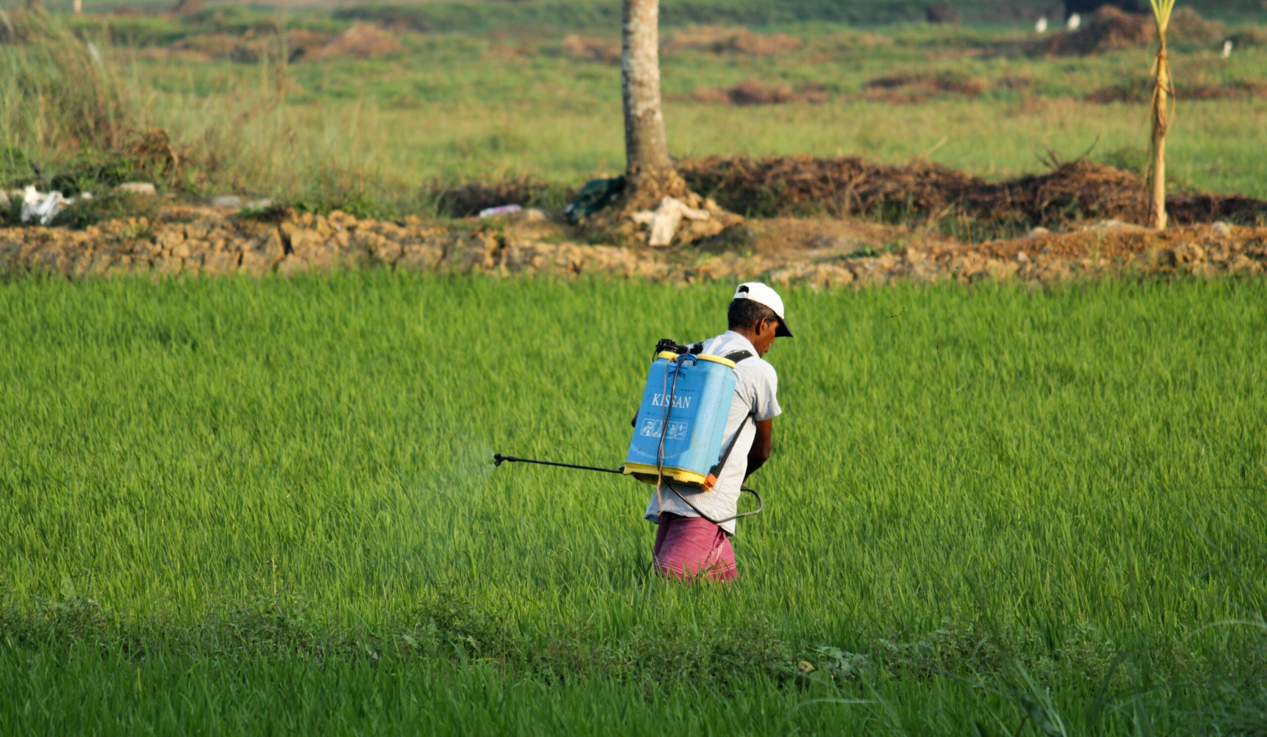 Pest Control Spraying Treatment on a Field