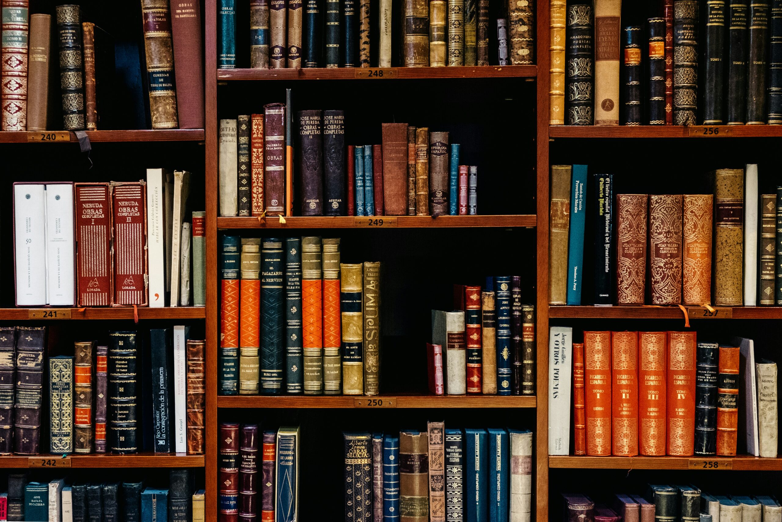 Wooden Book Shelf