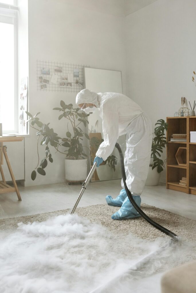 Professional carpet cleaning procedure.