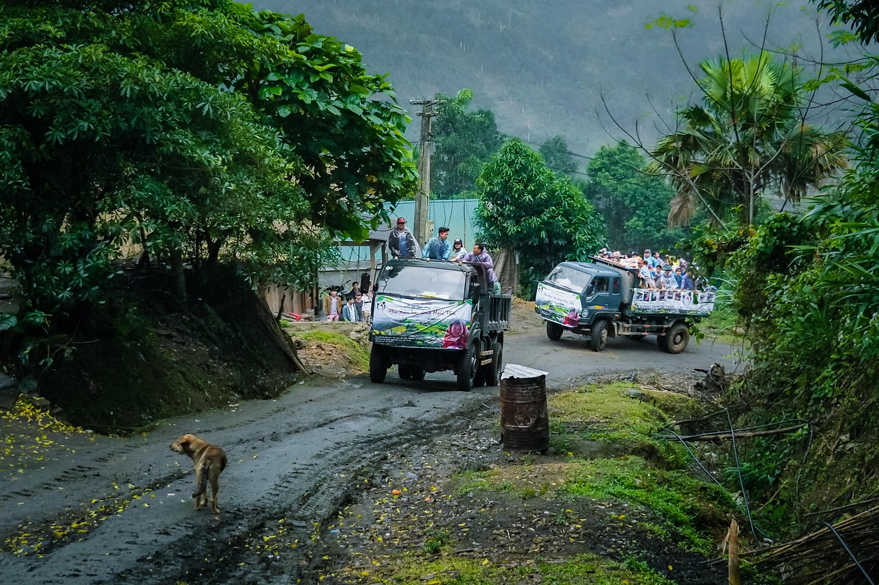 Rural mountain road during light rain with two small trucks carrying groups of people in the back, surrounded by lush green trees and vegetation, with a dog walking along the muddy roadside.