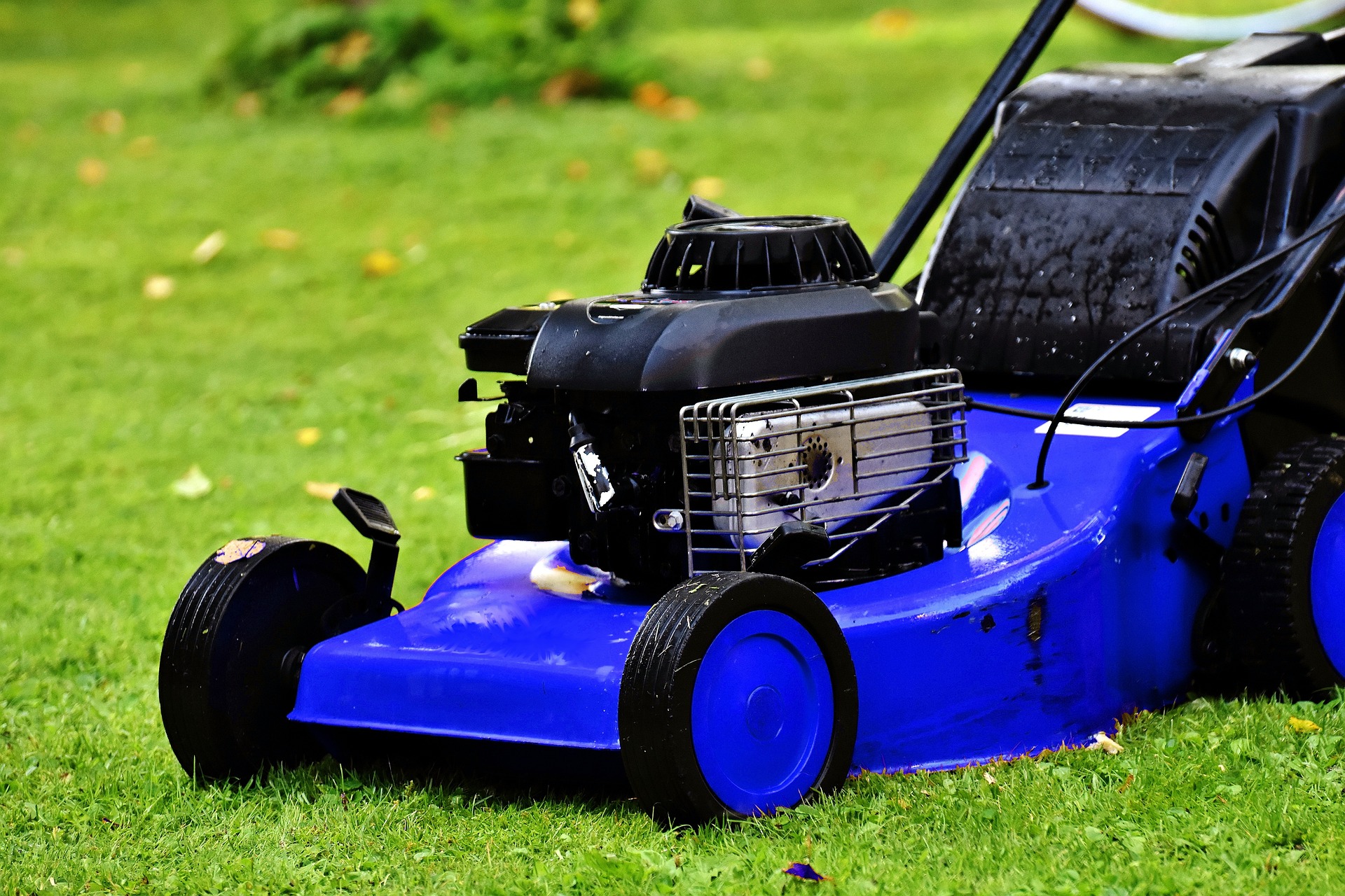Blue gas-powered lawn mower sitting on freshly cut green grass in a backyard lawn.
