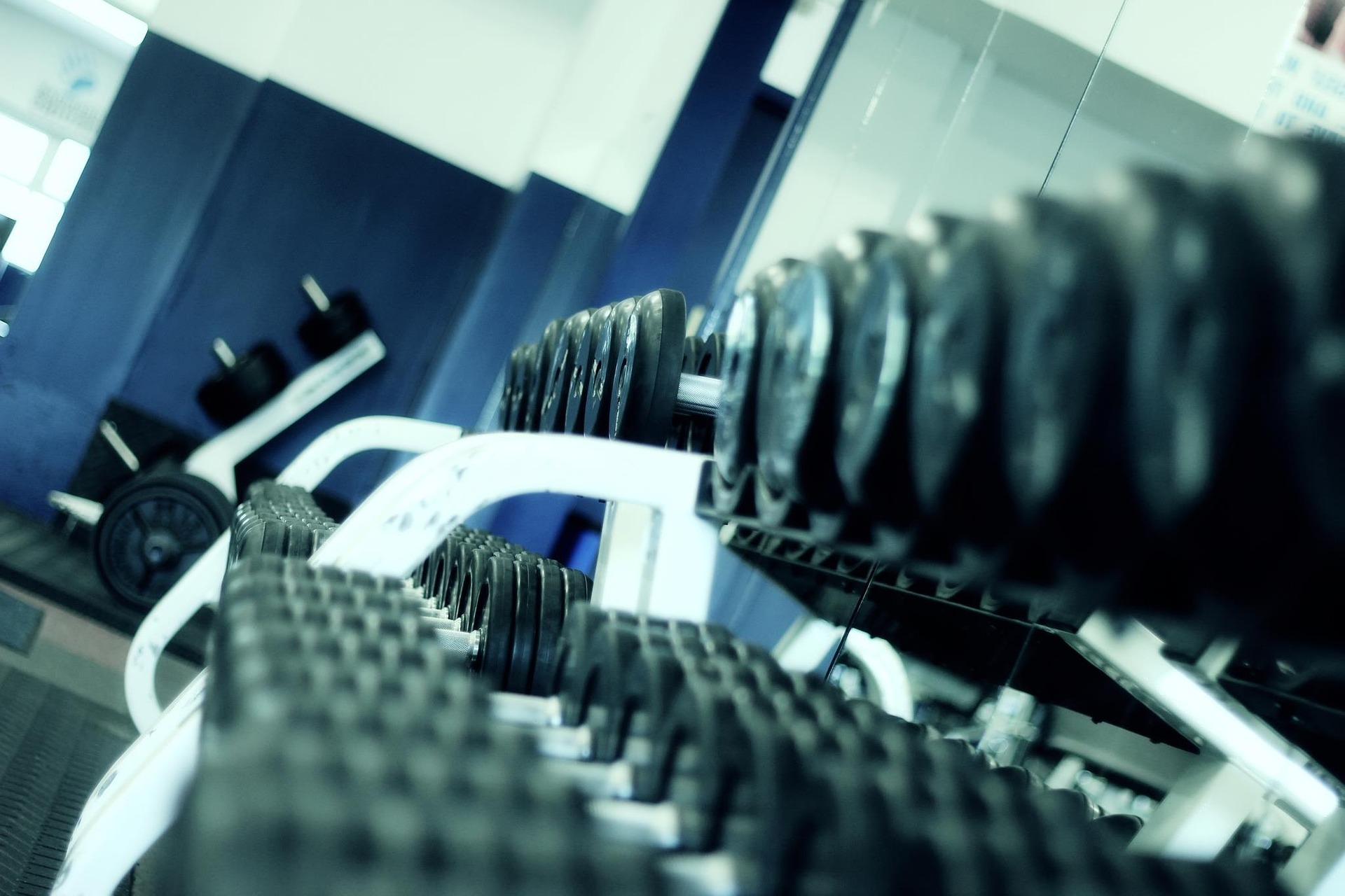 Close-up view of dumbbells lined up on a rack inside a modern gym with mirrored walls and fitness equipment in the background.